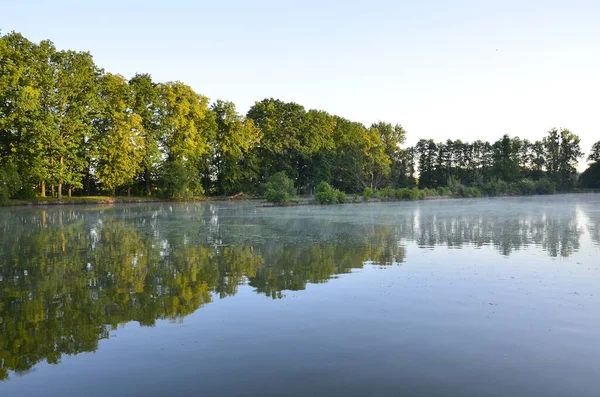 Arka planda nehir ve göl olan güzel bir manzara.