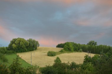 Ağaçlarla dolu bir tarlası ve bulutlu bir gökyüzü olan güzel bir manzara.