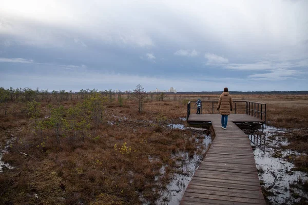 Houten Loopbrug Het Grondgebied Van Het Moerasreservaat Sestroretsk Sint Petersburg — Stockfoto