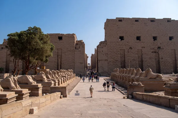 Luxor Egito Janeiro 2022 Avenue Ram Headed Sphinxes Main Pilon — Fotografia de Stock