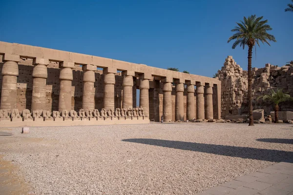 Sloupce Sochy Starověku Amun Karnakův Chrám Luxoru Zničené Théby Egypt — Stock fotografie