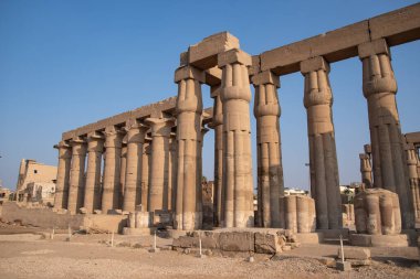 Luxor Tapınağı 'ndaki Amenhotep III sütununda (antik Teb). Luxor, Mısır
