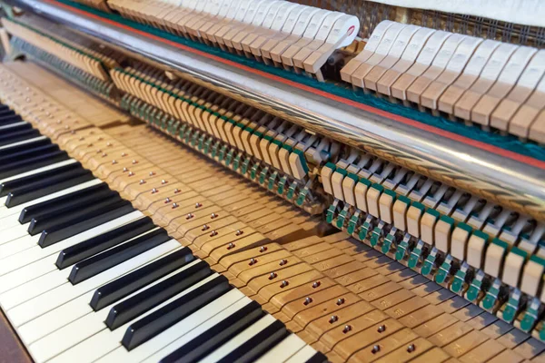 Open Upright Piano Piano Keyboard Action Internal Mechanism Piano Tuning — Stock Photo, Image