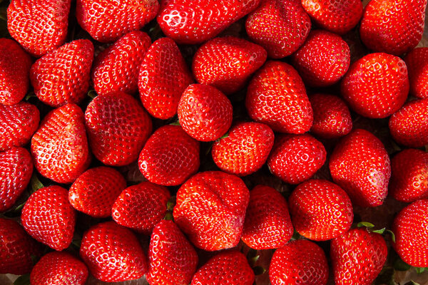 Many Strawberries Freshly Picked Ripe Red Strawberries Ready Eat — Stock Photo, Image