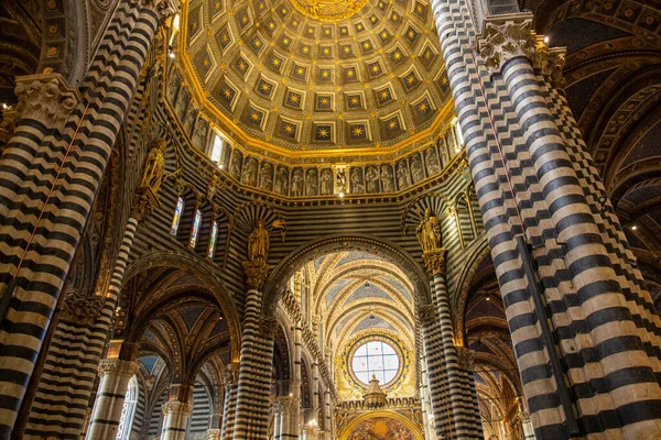Siena Katedrali 'nin iç manzarası. Siena Bazilikası 'nın freskleri ve mermer sütunları olan kubbe..