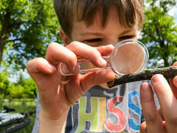 A boystuding a bug with a magnifying glass. A young kid studying an insect with a magnifying glass. A child examining a green bug on a wooden stick.