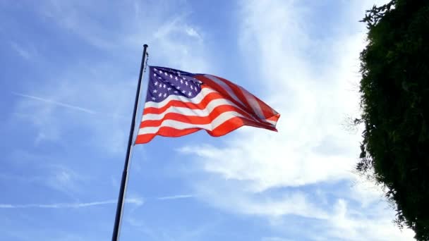 American Flag Flag United States America Waving Blue Sky Slow — Stockvideo