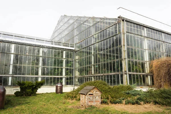 Poznan, Poland - February 24, 2022: Greenhouse building in the Park Wilsona with palms inside. Glass building. — Stock Photo, Image