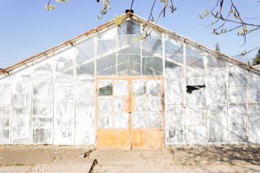 Kırık camları ve paslı kapısı olan eski yıkılmış bir sera. Mahvolmuş şehir geometrisi.