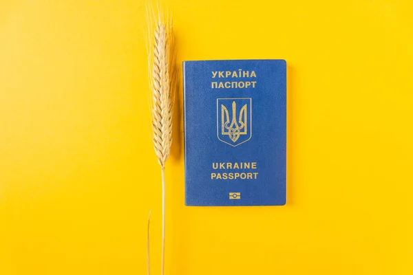 Ucrânia passaporte biométrico e dinheiro ucraniano para a imigração. Por causa da guerra e agressão russa. — Fotografia de Stock
