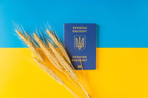 Ucrânia passaporte biométrico com espigas de trigo na bandeira nacional ucraniana. Liberdade azul e cores amarelas energizantes. — Fotografia de Stock