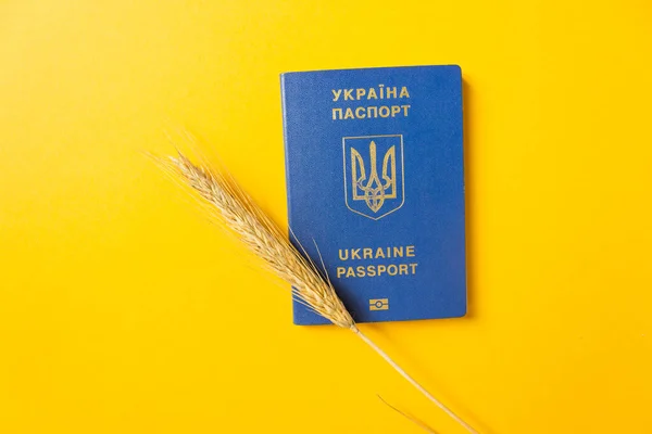 Passaporte biométrico azul Ucrânia isolado em energizar fundo cor amarela com orelha de trigo. Imigração. — Fotografia de Stock