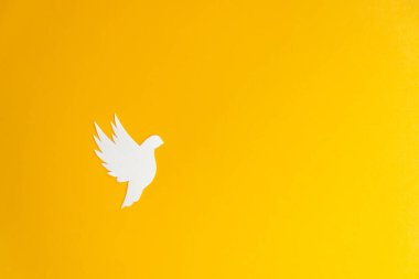 Beyaz kağıt güvercin kuşu sarı arka planda izole edilmiş barışın sembolü. Ukrayna 'ya barış. Uluslararası Barış Günü.