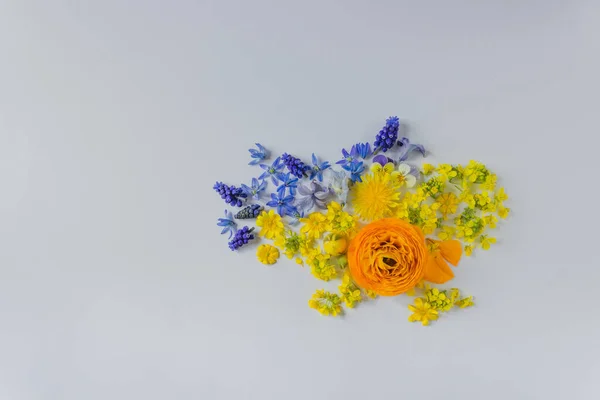 Map of Ukraine made of blue and yellow spring flowers, isolated on white background. Save peace in Ukraine, stop war. — Foto de Stock