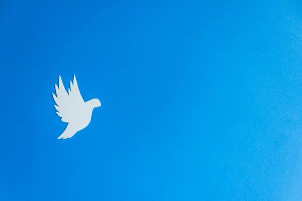 White paper dove bird as a symbol of peace isolated on blue background. Peace to Ukraine. International Day of Peace. — Stock Photo, Image