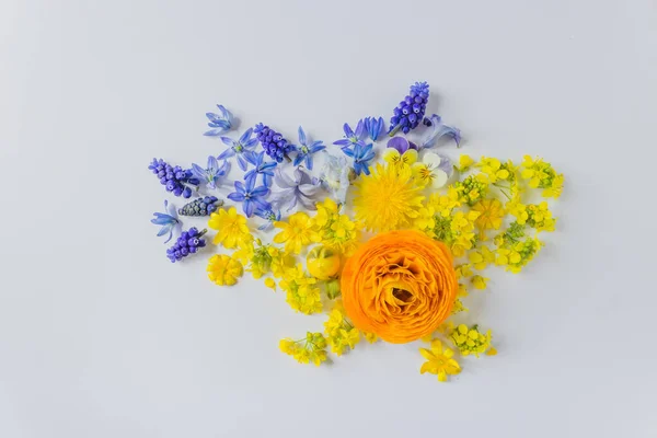 Map Ukraine Made Blue Yellow Spring Flowers Isolated White Background — Foto de Stock