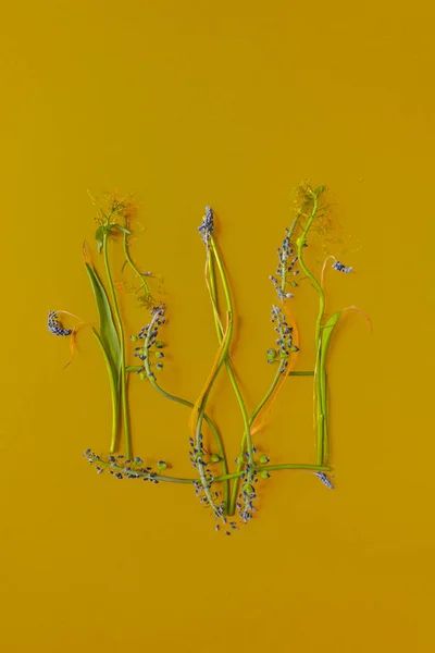 Escudo Armas Estatal Ucrania Tridente Hecho Flores Herbales Secas Aislado —  Fotos de Stock