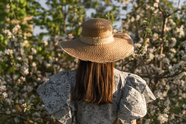 Eski kıyafetleri ve hasır şapkasıyla bahar çiçekli elma ağacı bahçesinde yürüyen genç bir kadın. Arkadan bak. Cottagecore estetiği ve boho tarzı. Kadın bahar modası kavramı.