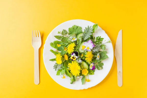 Salade Pissenlit Frais Avec Oignon Concombre Huile Olive Sur Une Photos De Stock Libres De Droits