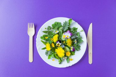 Beyaz tabakta taze karahindiba salatası soğan, salatalık ve zeytinyağı. Çevre aletleri, tahta çatal ve bıçak. Violet geçmişi. Üst Manzara. Ukrayna 'nın batıl gıdaları, çiğ gıda diyeti.