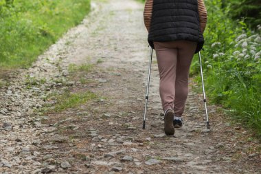 Aktif kıdemli kadın kayalık yolda yürüyüş çubuklarıyla yürüyüş yapıyor. Dağlık ormanda yürüyen İskandinav bacaklarına yakın bir yerde. Aktif yaşlılar konsepti. Sağlıklı hafta sonu eğlence aktivitesi.