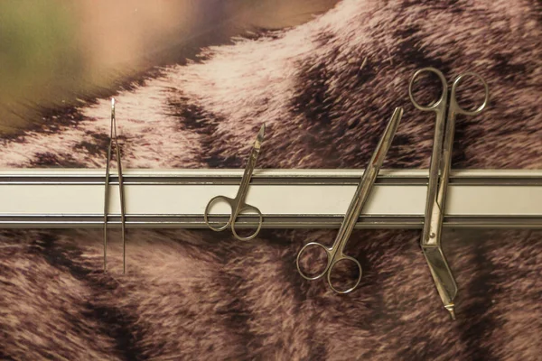 一套兽医工具 操作室内磁板上的金属钳 夹钳和剪刀 兽医手术的器械 兽医麦地那的概念 — 图库照片