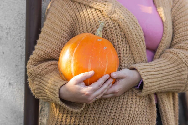 Frau Beige Gestrickter Strickjacke Hält Reifen Orangefarbenen Kürbis Der Auf — Stockfoto