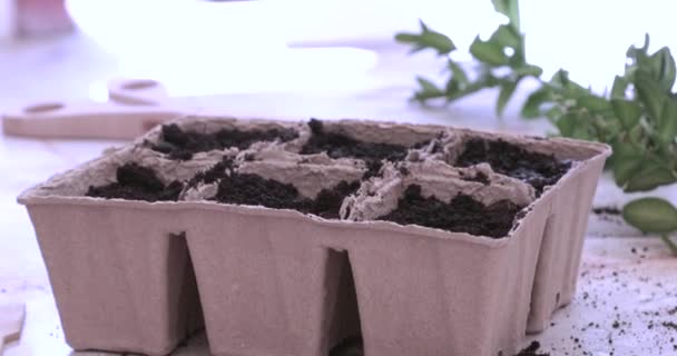 种植种子的盆栽是用水浇灌器浇灌的. — 图库视频影像