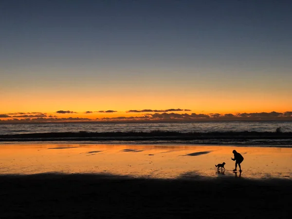 Sunset Beach Pacific Ocean California Woman Takes Picture Dog Shore — Stock Photo, Image
