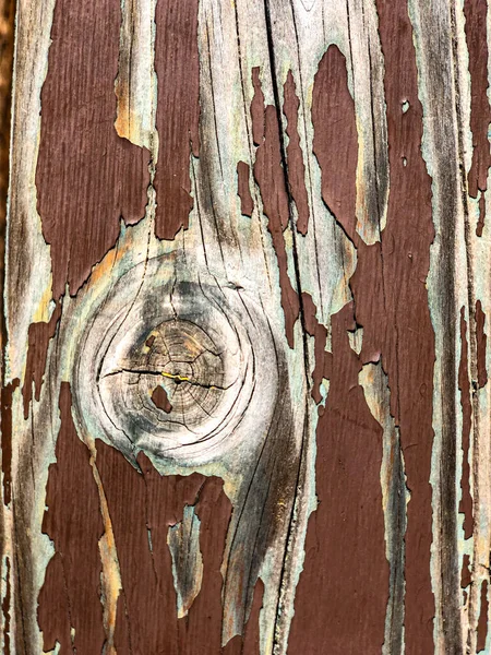 Bark Tree Background Pattern Texture — Stock Photo, Image