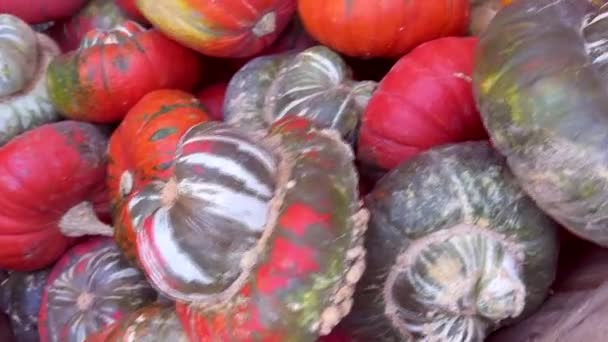 南瓜在农贸市场上销售 近景各种南瓜和葫芦 优质Fullhd影片 — 图库视频影像