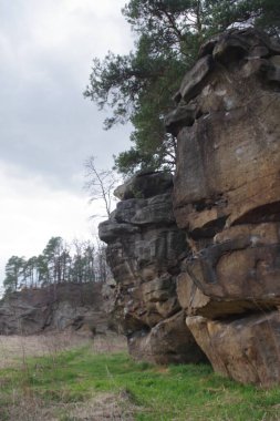 Arkasında bir dağ olan güzel bir manzara.