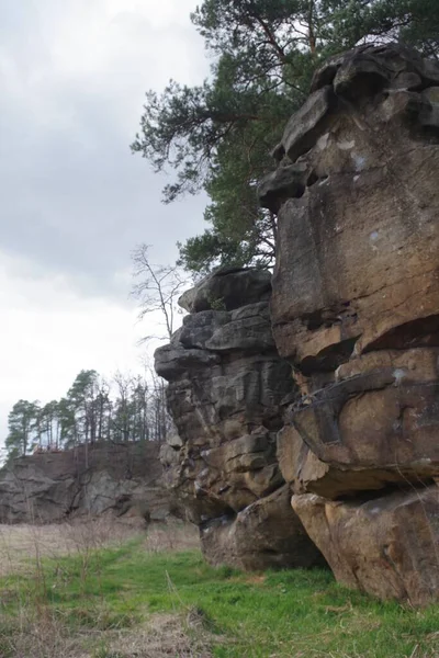 Arkasında bir dağ olan güzel bir manzara.
