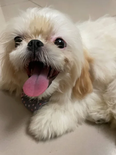 Duştan sonra mutlu sıçmalar.