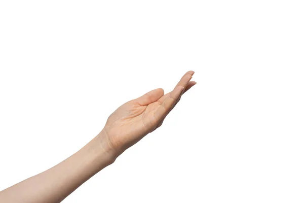 Gestures Hands White Background — Stock Photo, Image