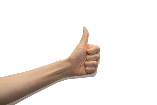 Beyaz arka planda elleri olan jestler