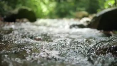 Vahşi dağ nehri taştan kayaların arasından akıyor, akarsu ormanın derinliklerinden akıyor, ağır çekim.