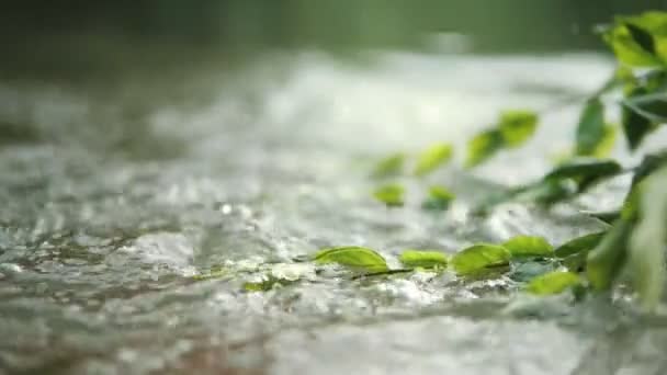 Zbliżenie Ujęcia Bieżącej Wody Przez Zielone Liście Woda Czysta Strumień — Wideo stockowe