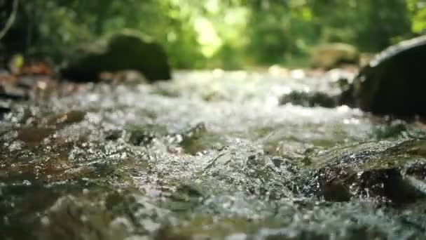 Vad Hegyi Folyó Folyik Keresztül Sziklák Víz Tiszta Patak Folyó — Stock videók