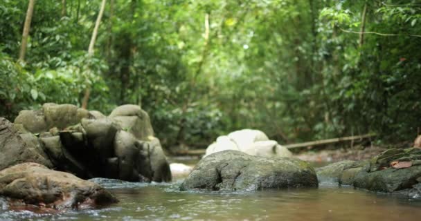 Дика Гірська Річка Протікає Крізь Кам Яні Валуни Водна Течія — стокове відео