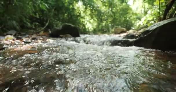 Дика Гірська Річка Тече Крізь Кам Яні Валуни Водна Течія — стокове відео