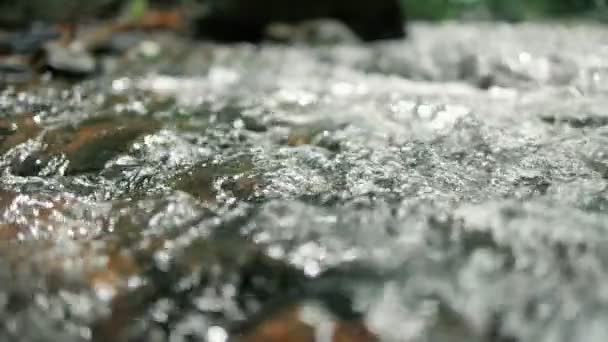 Zamknij Powolny Ruch Strumienia Biegnącego Szybko Lesie Mały Wodospad Krystalicznie — Wideo stockowe