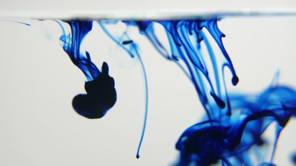 Blaue Tinte Fällt Ins Wasser Und Löst Sich Auf Weißem — Stockvideo