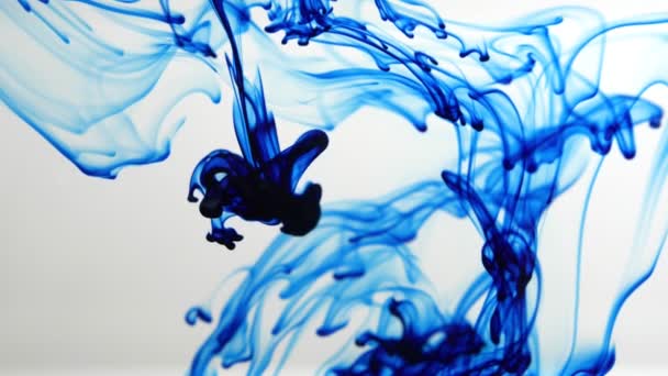 Encre Bleue Tombe Dans Eau Dissout Sur Fond Blanc Mouvement — Video