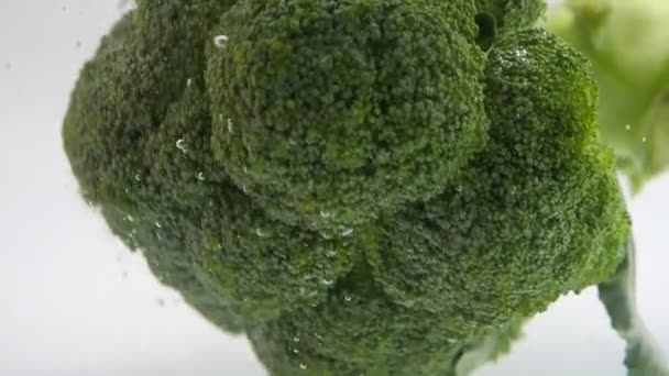 Movimento Lento Brócolis Verde Caindo Respingo Água Fundo Branco Legumes — Vídeo de Stock