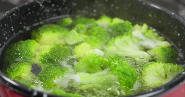 Close Fresh Green Broccoli Cooked Boiled Pot Healthy Vegetables — Stock Video