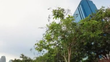 İnsanlar şehir parkında koşuyor ve egzersiz yapıyor. Bangkok 'taki Benjakitti Parkı manzarası.