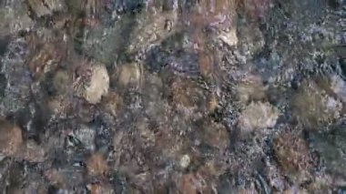 Kayalar ve su sıçramalarıyla temiz dağ suyu manzarası. Ormandaki taze şelale akıntısının arka planı.