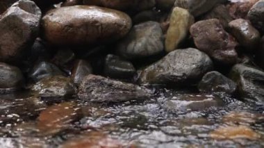 Vahşi dağ nehri kayalar ve su sıçramalarıyla berrak şelale. Ormanda tatlı su akıntısı. Yavaş çekim. Yakın çekim..