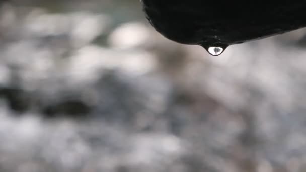 Underjordiskt Rent Vatten Inne Stenen Naturlig Skog Vattendroppar Faller Ner — Stockvideo